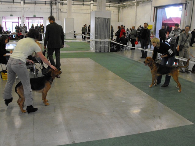 DSCF5034.JPG