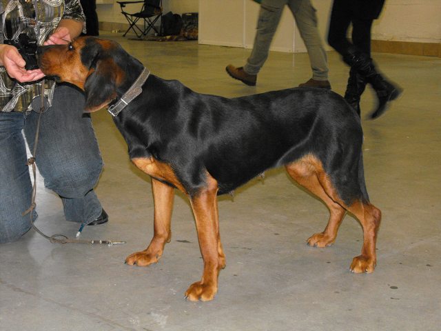 DSCF5055.JPG