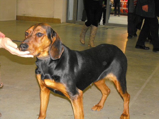 DSCF5056.JPG