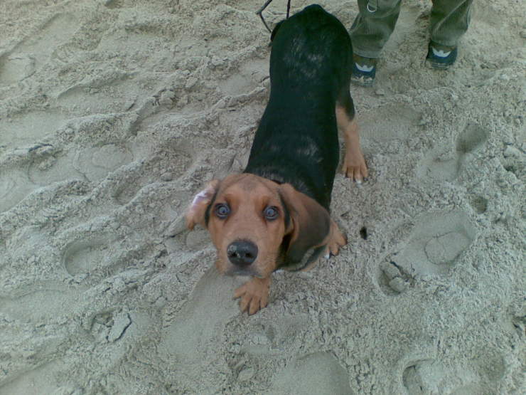 20090208(001).jpg