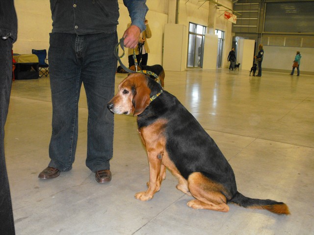 DSCF5051.JPG
