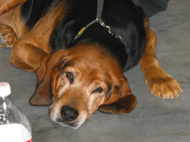DSCF5030.JPG