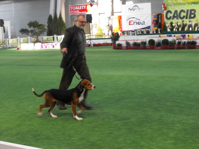 DSCF5025.JPG