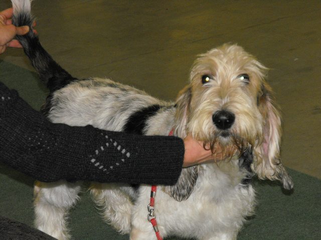 DSCF5028.JPG