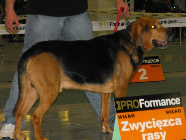 DSCF5072.JPG