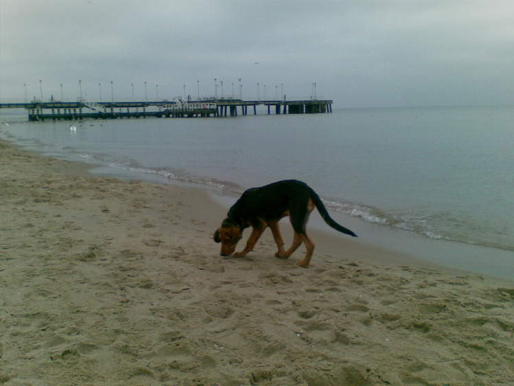 08022009.jpg