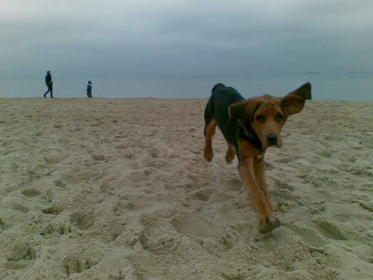 08022009(015).jpg