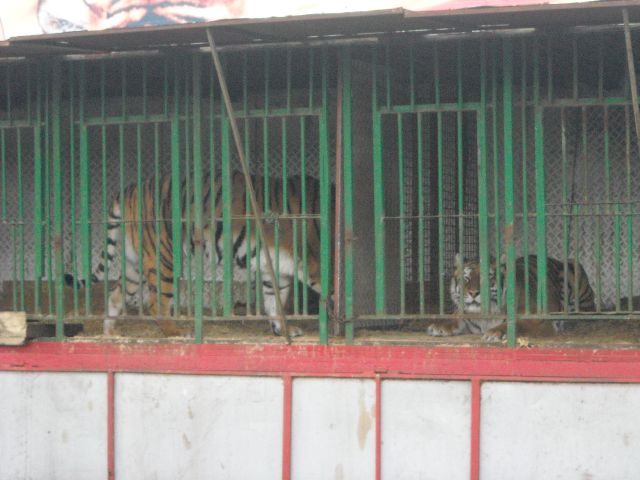 foto 004.jpg