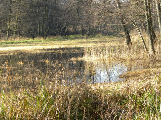 Obraz 138.jpg