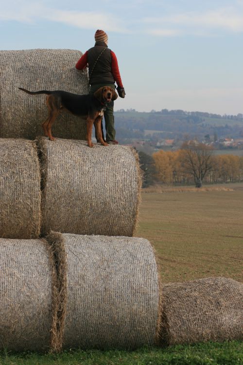 Jesień