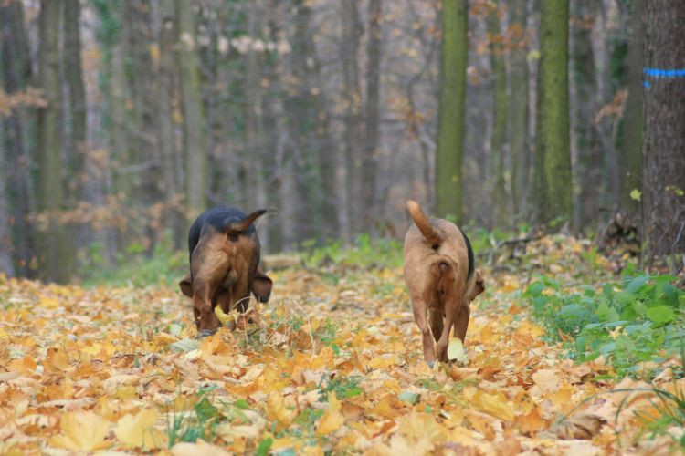 Moja gruba dupka i &quot;mięsko&quot; Zagajka.