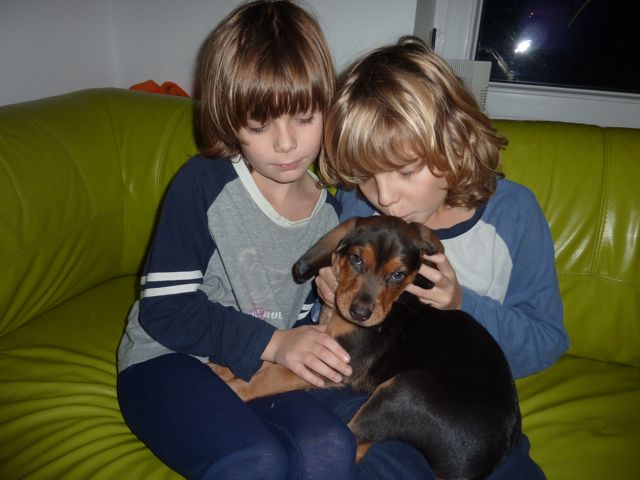 P1010389.jpg