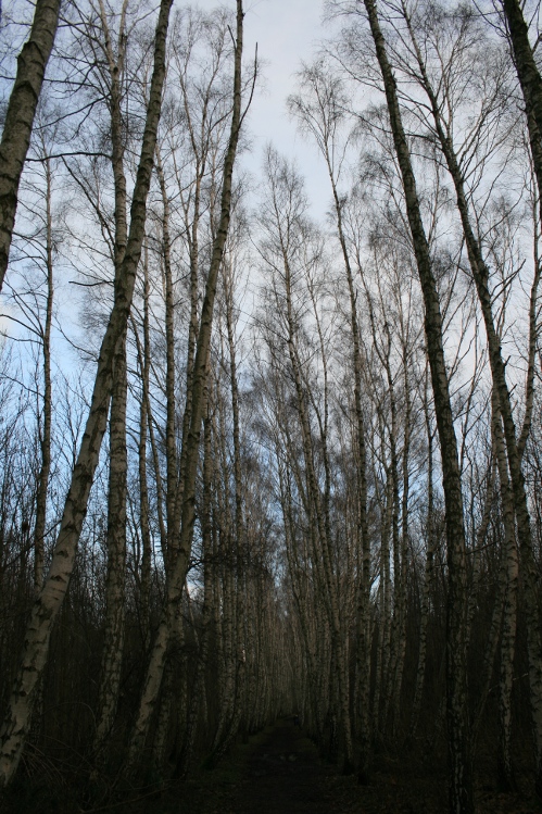 IMG_0039.JPG