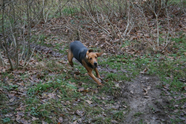 IMG_0042.JPG
