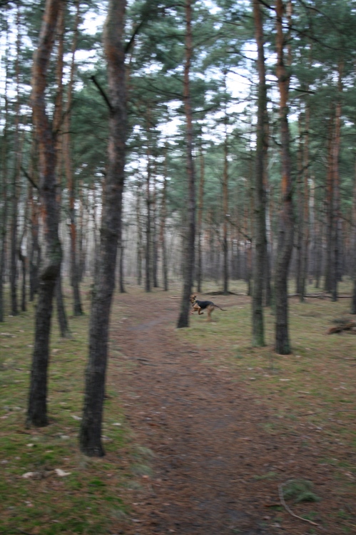 IMG_0048.JPG