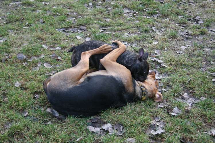 IMG_0067.JPG