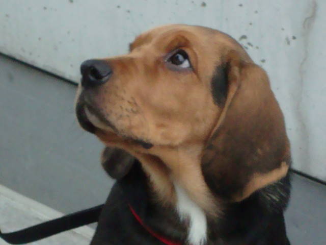 DSC00529.JPG