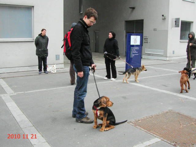 DSC00548.JPG