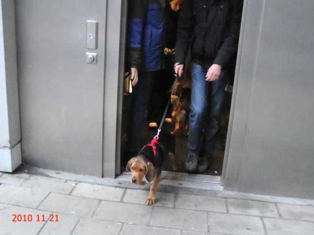 DSC00553.JPG