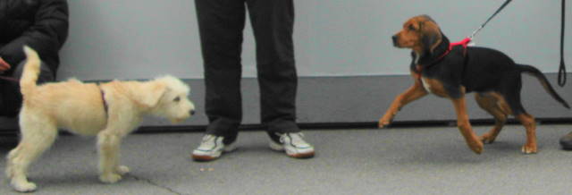 DSC00539.JPG
