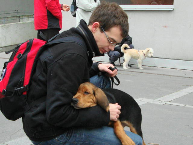 DSC00555.JPG