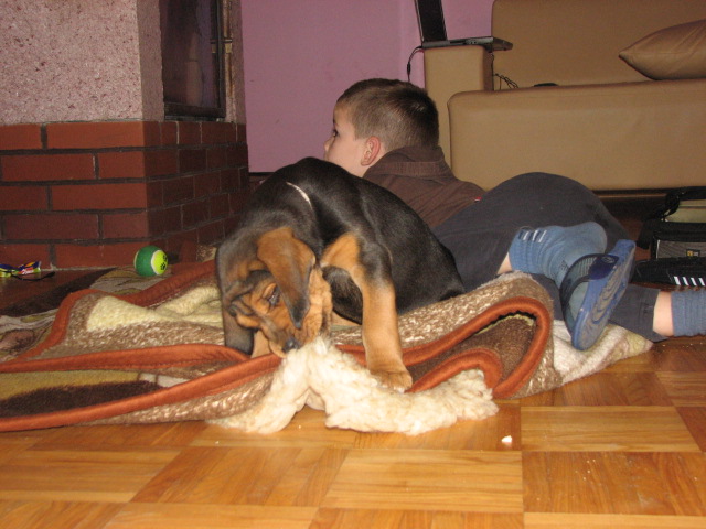 Ulubiona skóra