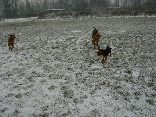 P1090457.jpg