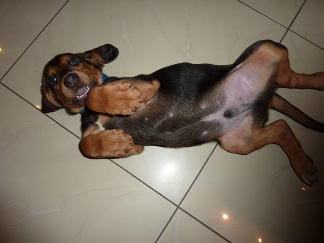 P1010435.jpg