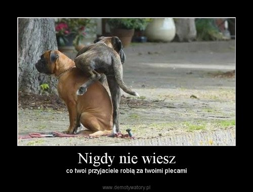 1272230688_by_Trill_500.jpg