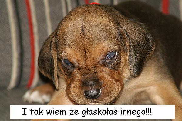 Mam nadzieję Haniu że nie masz nic przeciwko;)