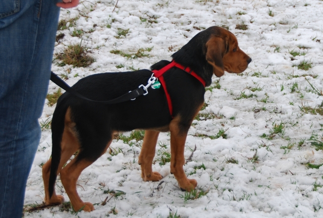 20101128_101_1.jpg