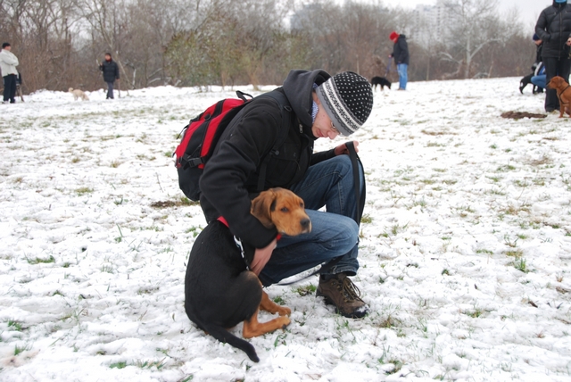 20101128_117_1.jpg