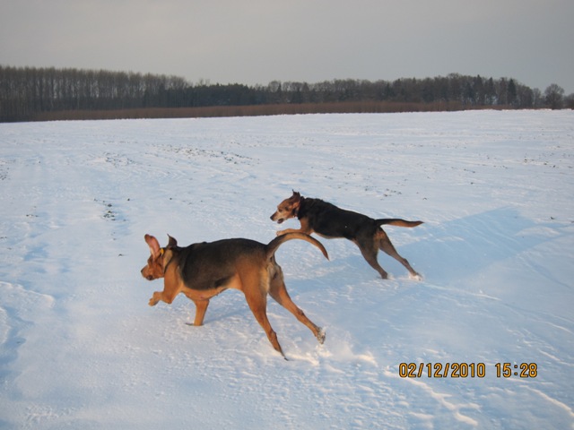 i znow ich nie ma :)
