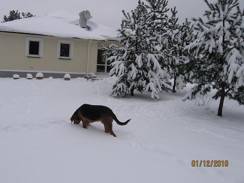 IMG_4526.JPG