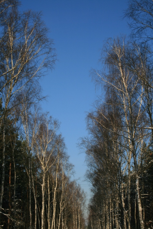 009.JPG