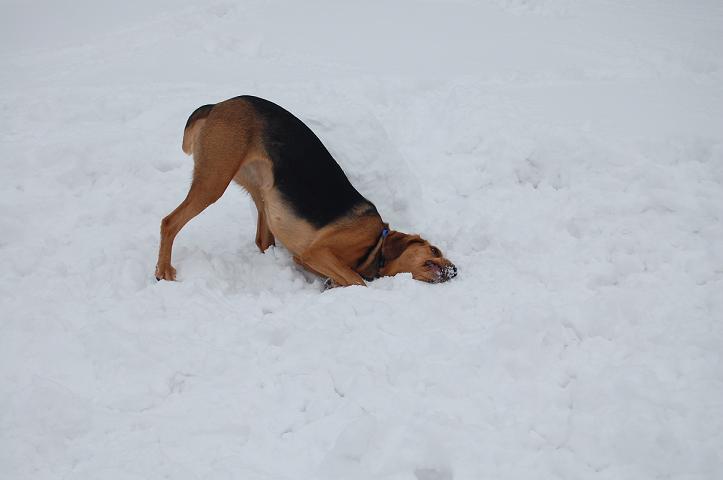 zima 2009 6.JPG