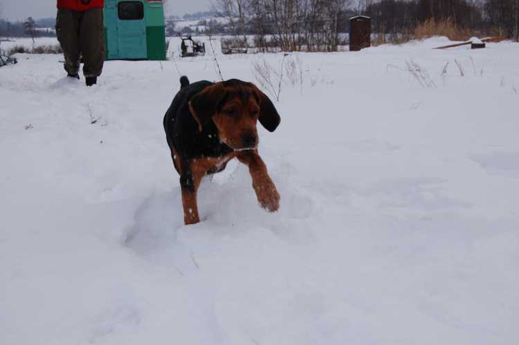 DSC_0129_renamed_11032.jpg