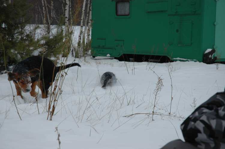 DSC_7888_renamed_28238.jpg