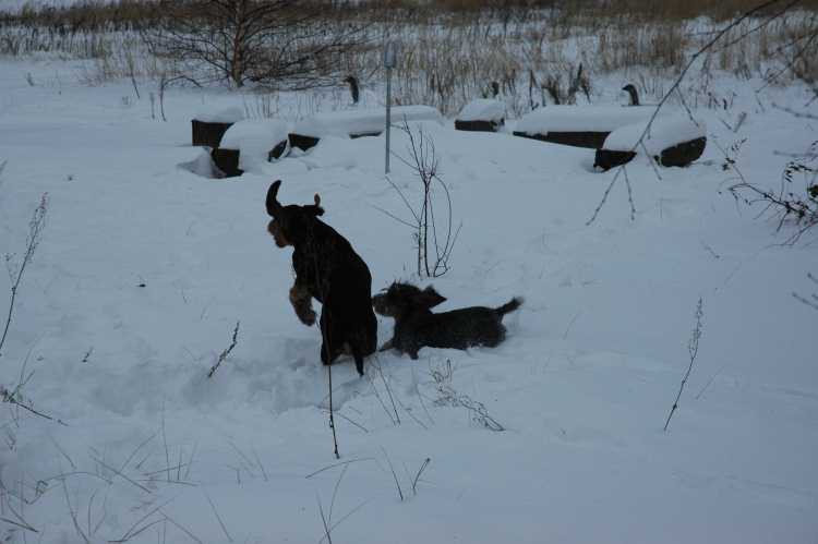 DSC_7929_renamed_3682.jpg