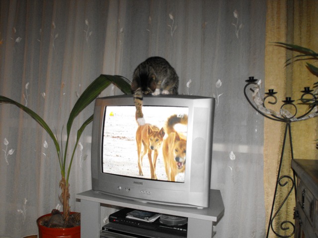 DSCF5046.JPG
