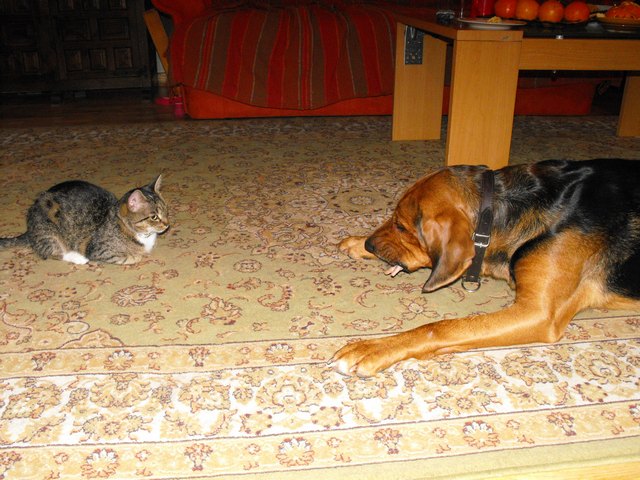 DSCF5049.JPG