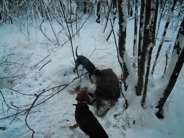 DSCN1367.JPG