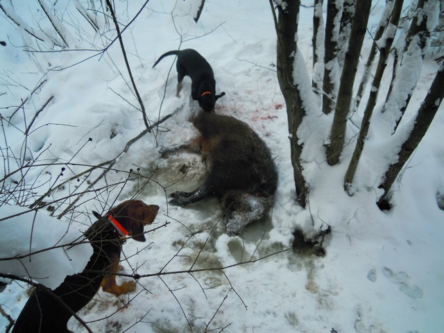 DSCN1369.JPG