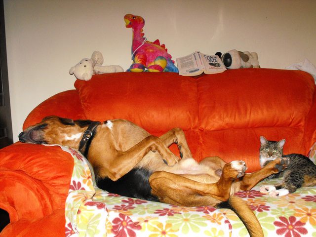DSCF5002.JPG