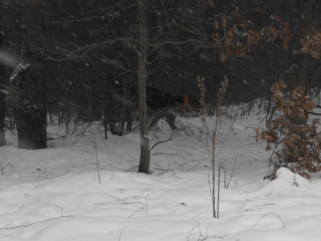 DSCF5014.JPG