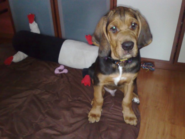 111220101416.jpg