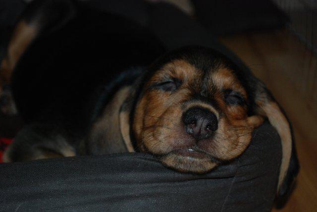 DSC_0164.jpg