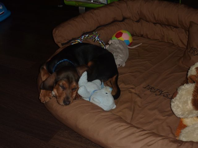 P1010534.jpg