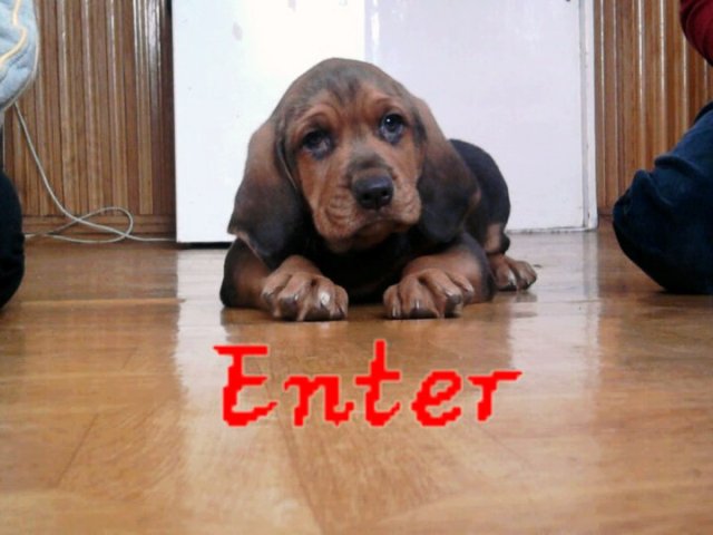 Enter.jpg