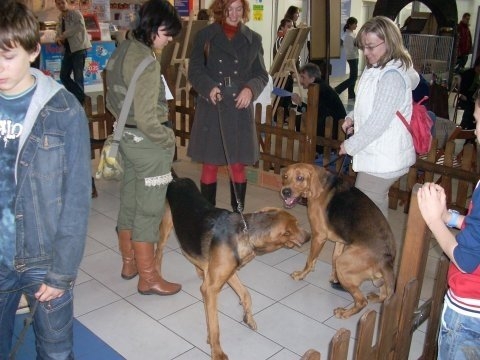 Spięcie chłopaków - 15(2).JPG